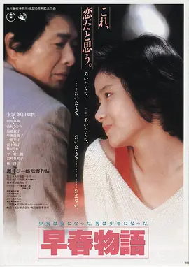 数字风暴电影海报